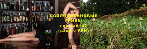 скорость Алексин