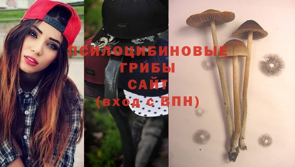 каннабис Алзамай