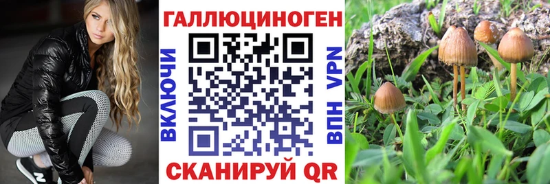 наркотики  Калининск  Псилоцибиновые грибы мицелий 